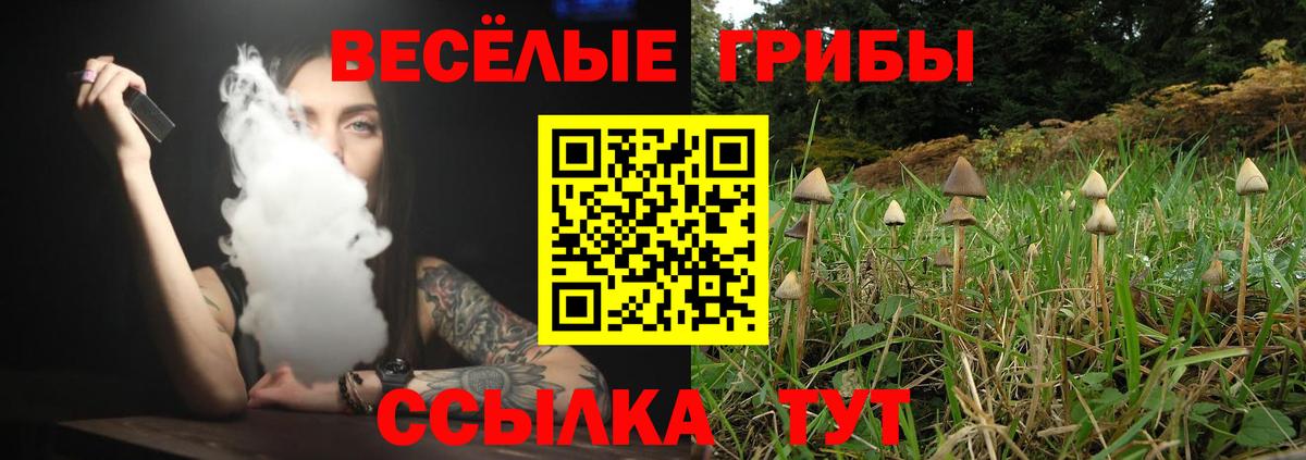 Галлюциногенные грибы ЛСД Мыски